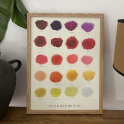 Affiche illustrées "Les robes du vin"