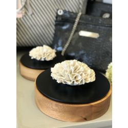 Boîte Bois et Céramique à Parfumer Chan XL