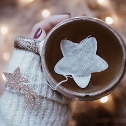 5 Sachets Thé Earl Grey - Étoile Dorée