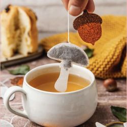 5 Sachets de Thé Vert Jasmin - champignon