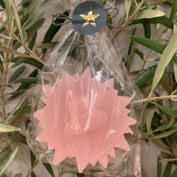 Ex-voto en cire rose  - Ciergerie des prémontrés