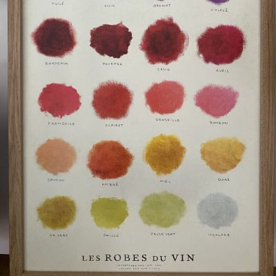 Affiche illustrées "Les robes du vin"