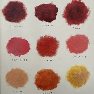 Affiche illustrées "Les robes du vin"