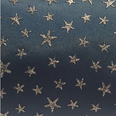 Tissu plastifié bleu avec étoiles argent