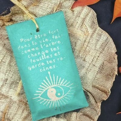 Pour être fort dans la vie, fais comme l'arbre, change tes feuilles et garde tes racines
